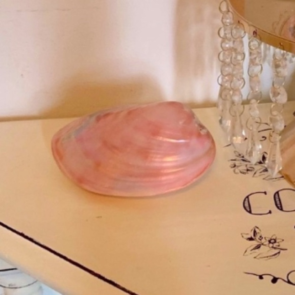 Beautiful pink vintage clam shell